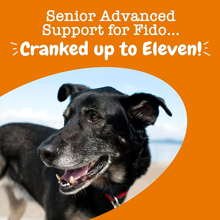 Zesty paws senior top advanced multivitamin for dogs