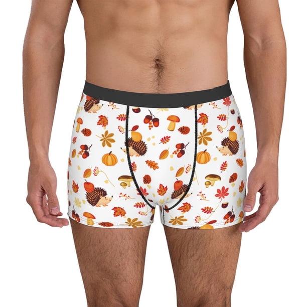 Fotbe Autumn Maple Leaf with Hedgehog Calzoncillos Tipo Boxer con Bolsa de Soporte Total para Hombre, X-Temp Fresco, Transpirable y de Secado Rápido-X-Large