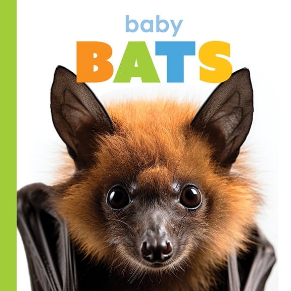 Starting Out Baby Bats, (Hardcover)