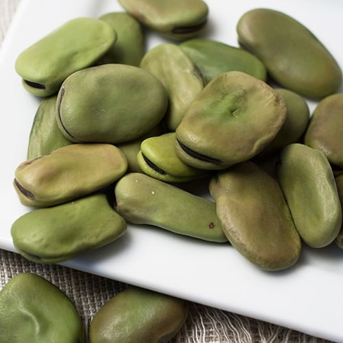 Extra Large Dried Fava Beans (12 ounce)