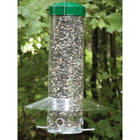 Birds Choice Hanging Bird Feeder with Baffle/Weather Guard