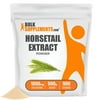 BulkSupplements Horsetail Extract Powder - 1g per Serving - 500 Grams (1.1 lbs) - 500 Servings