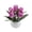 Purple, variant on Low Maintenance & Natural Looking, 7.9x7.1x7.1 Inch Potted Plant, Table Decor & Artificial Tulip Flower Bonsai, Fully Assembled Design for Home Office