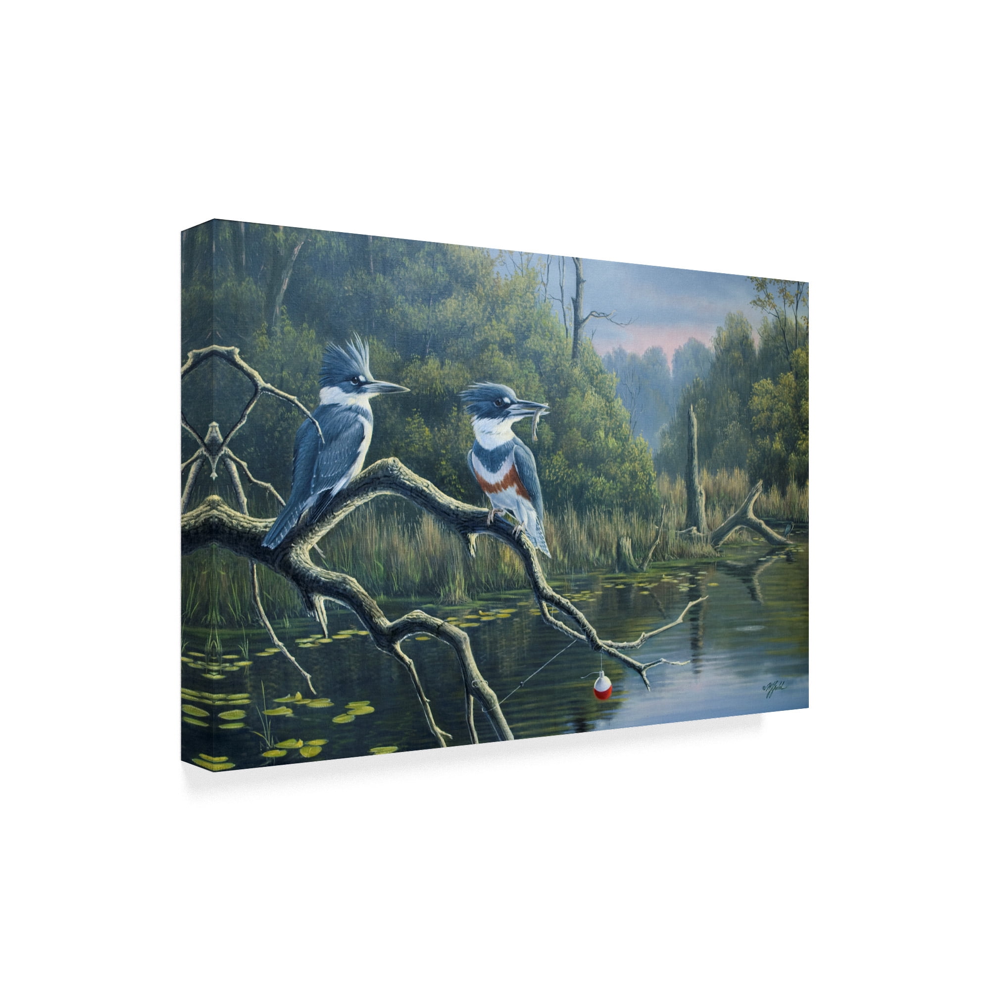 Trademark Fine Art 'Luck Belted Kingfishers' Canvas Art by Wilhelm Goebel