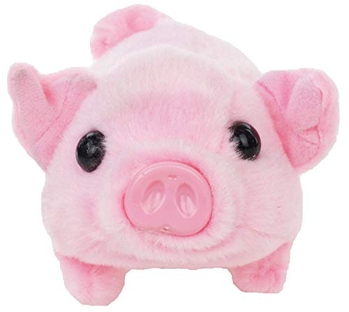 battery operated pig