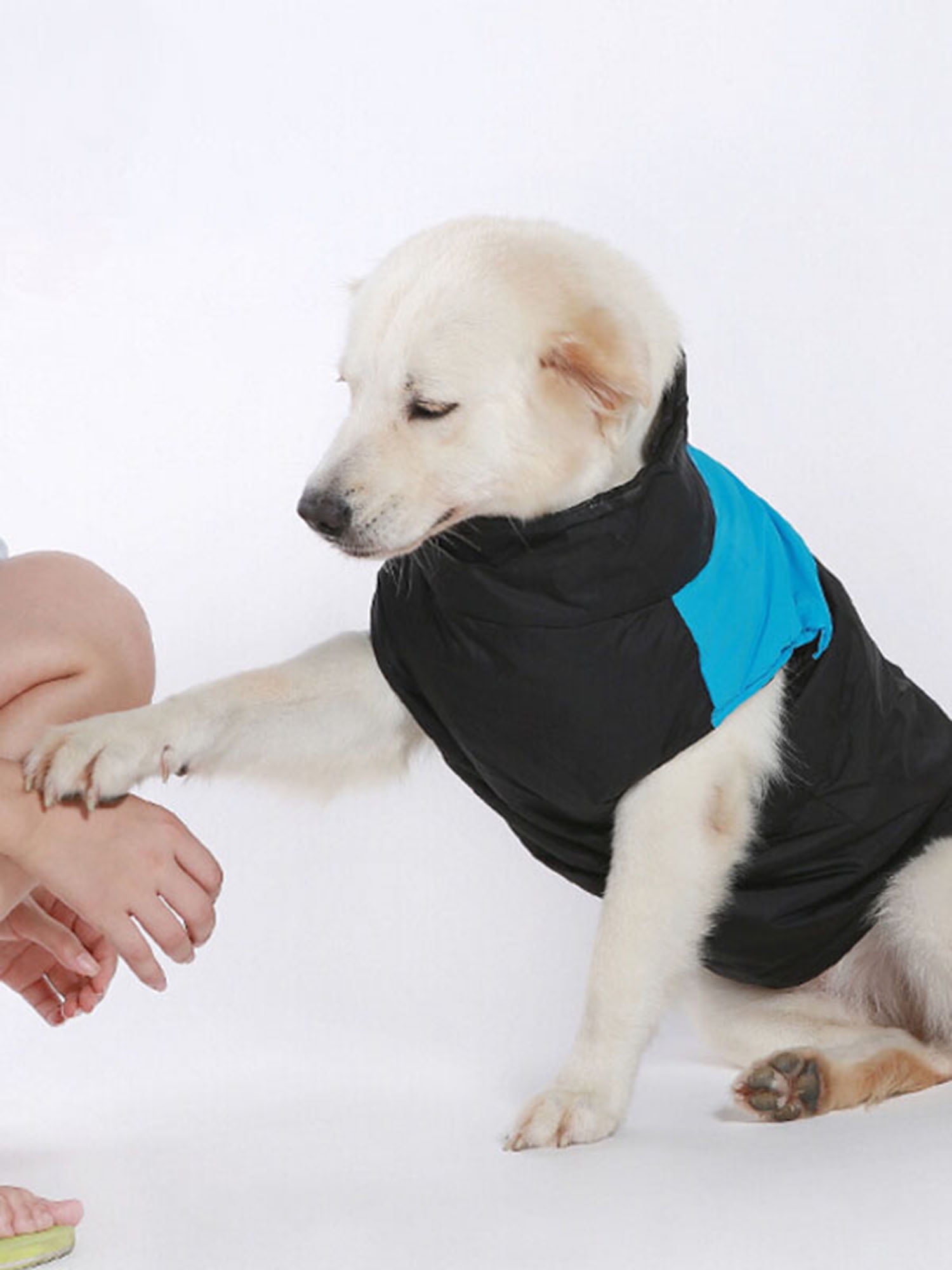 puppy jackets