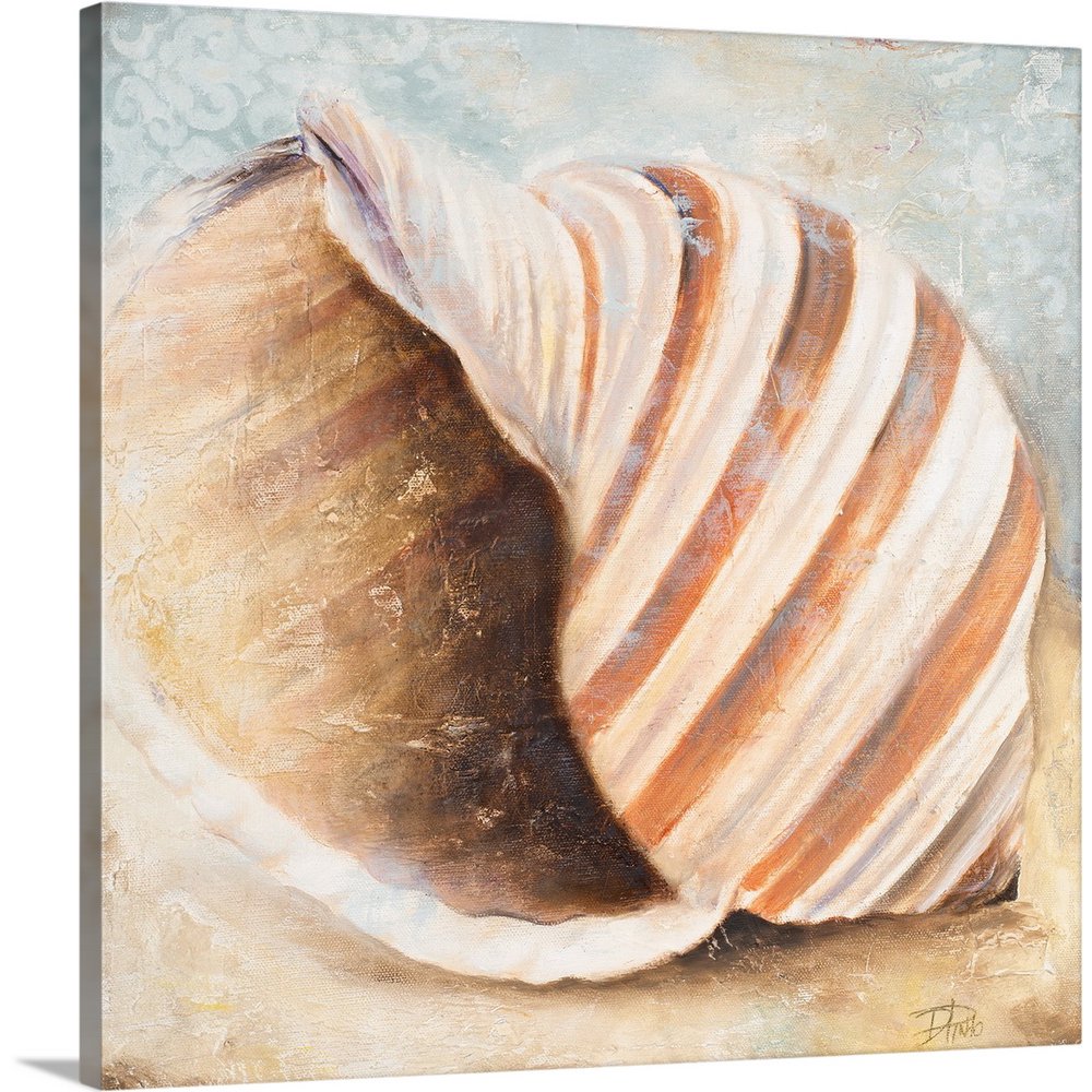 Great BIG Canvas "Seashell Collection I" Canvas Wall Art Walmart
