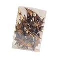 thumbnail image 3 of 12 colgantes navideños Macarena Estrella de café 55 cm x 8 cm, 3 of 8