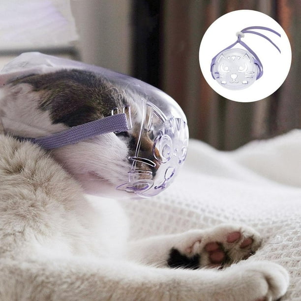 Nylon cat muzzle outlet