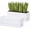 White, variant on GYA 12 Inch Window Box Planter, Rectangle Plastic Herb Planter with Drainage Holes and Saucer, Indoor Succulent Cactus Vegetable Pot for Windowsill, Garden Balcony, Black, Set of 2, 76-X-B-2