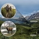 thumbnail image 5 of 900X25 HD Zoom Binoculars Outdoor Landscape Bird HD High-Power Low-Light Night Vision Telescope, 5 of 5