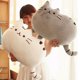 thumbnail image 3 of Mini Honkai: Star Rail plush Dolls Boothill Argenti Huohuo Topaz Sunday Ruan Mei Serval Caelus Jing liu boy girl kids gifts toys, 3 of 5