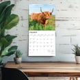 thumbnail image 5 of Highland Cows | 2026 12x24" (Hanging) Square Wall Calendar | Plastic-Free, 5 of 9