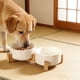 thumbnail image 1 of Comedero y cuenco de agua elevado de cerámica doble para gatos y perros pequeños para proteger, 1 of 7