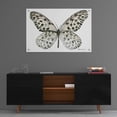 thumbnail image 3 of Epic Art 'Butterfly 3' by Stellar Design Studio, Acrylic Glass Wall Art, 36"x24", 3 of 5