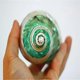 thumbnail image 2 of Jade Turbo Banded Shells&Hermit Crab Sea Shells,Turbo Shells 3-1/2"~4" Inch, 2 of 4