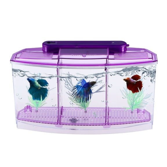 Milisten Purple Mini Fish Tank for Home Decoration Durable Plastic Three Grid Design Easy to Install and Care