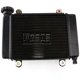 thumbnail image 2 of Water Cooling Tank Radiator For Bashan 200-7 250cc 200cc electric ATV UTV Go Kart Buggy Parts, 2 of 5