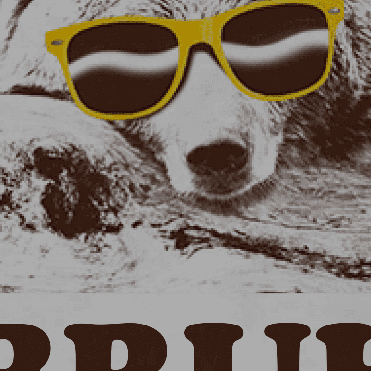 Bruh Bear