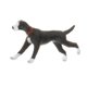 thumbnail image 2 of 9 Piezas 1:64 Escala Modelo Pintado a Mano Pequeño Perro Animal Modelo Adornos Sunnimix Muñeca de personas de modelos en miniatura, 2 of 8