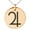Rose, variant on Stainless Steel Solar System Planetary Jupiter Engraved Small Medallion Circle Charm Pendant Necklace
