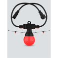 thumbnail image 1 of Festoon 2 RGB EXT, 1 of 4