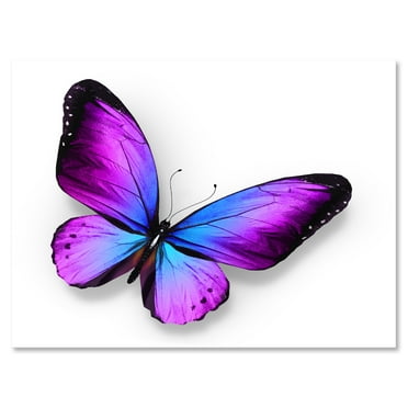 Designart ' Blue and Violet Butterfly ' Modern Canvas Wall Art Print