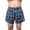 Light Blue Plaid, variant on CARER Washable Incontinence Underwear for Men, Regular Cotton Leak-Proof Briefs with Front Absorption Area for Bladder Leak Protection