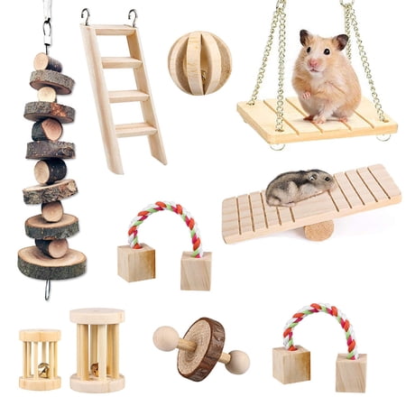 10 Pack Apple Wood Activity Toys Hamster Chew Toys Rat Chinchilla Pet Toys Accessories Natural Organic