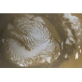 thumbnail image 1 of 24x36 gallery poster, Mars North Pole ice cap, 1 of 1