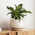 thumbnail image 2 of Ceramic Planter 10 Inch Plant Pot with Drainage Hole Saucer Durable Indoor Planter for Modern Home Decor Reactive Glaze Beige, 2 of 7