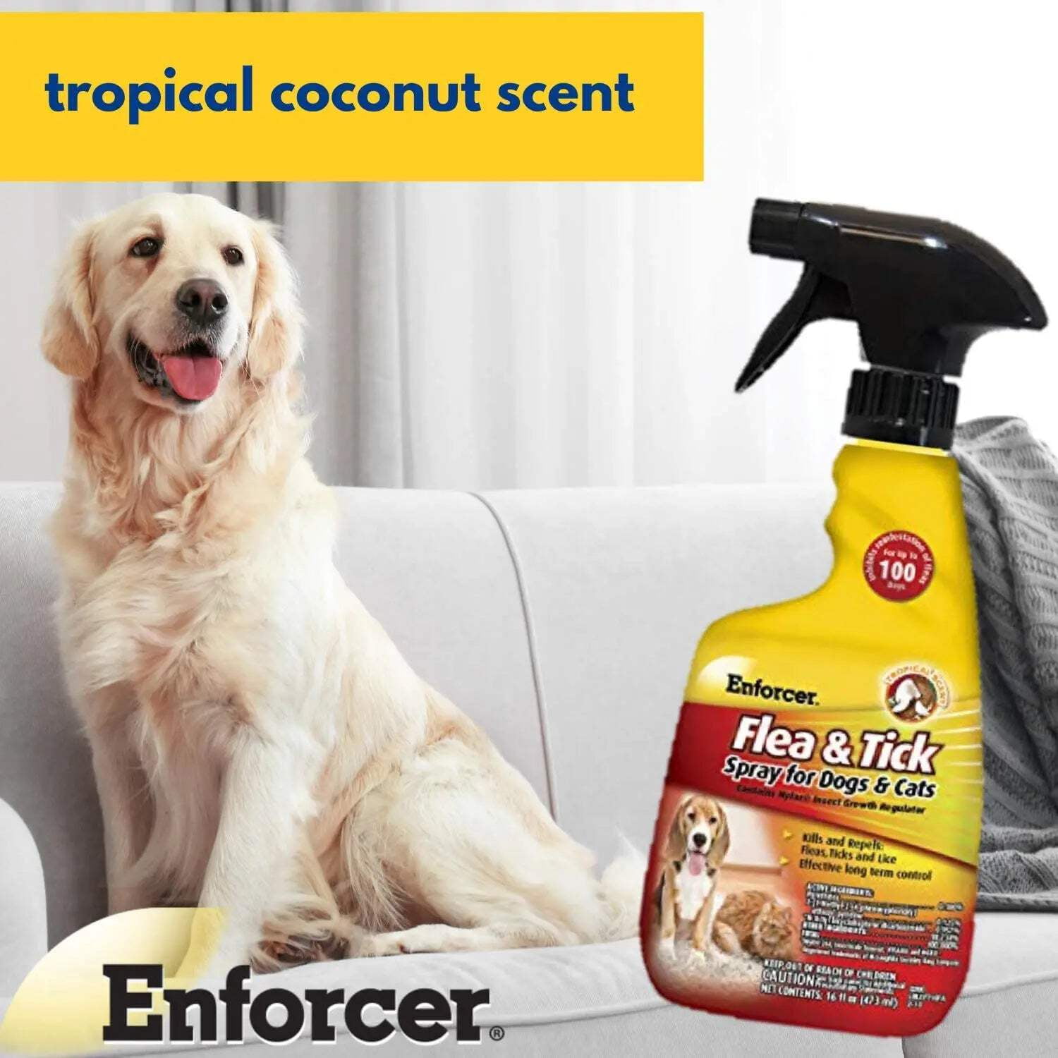 Enforcer Flea & Tick Spray for Dogs & Cats, 16 oz – Kills & Repels Fleas, Ticks, Lice, with 100-Day Residual Control, Tropical Coconut Scent