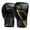 Black/Gold, variant on Hayabusa E1 Boxing Gloves for Kids - Black/Gold, 6oz