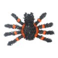 thumbnail image 2 of Decoraciones de Halloween para exteriores, fantasmas realistas, adornos colgantes para patio Araña, 2 of 9