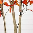 thumbnail image 4 of Nearly Natural 7ft. Autumn Birch Artificial Fall Tree, 4 of 8