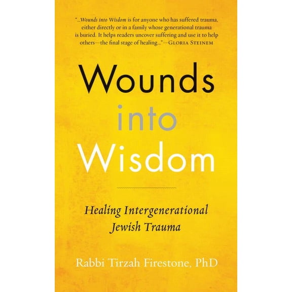 Wounds Into Wisdom: Healing Intergenerational Jewish Trauma (Hardcover)