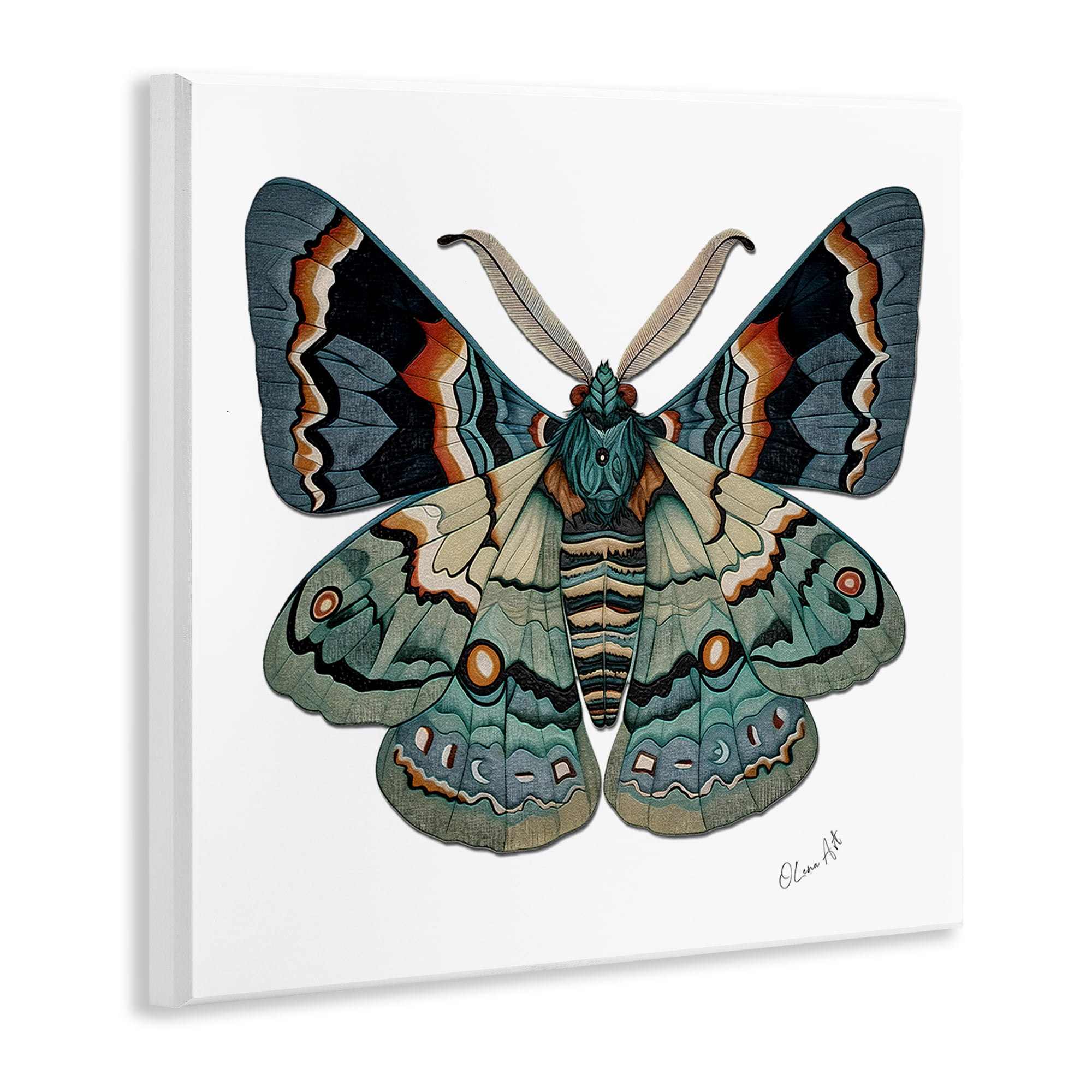 Stupell Industries Symbol Of Change Moth Animals Painting Unframed Art Print Wall Art, 12 x 12