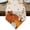 Beige, variant on Burnt Orange Fall Pumpkin Table Runner Linen Burlap Table Runner 60 Inches Long Thanksgiving Maple Leaves Botanical Dresser Scarves for Kitchen Island Coffee Dining Room Party Holiday Decor 13"x60"