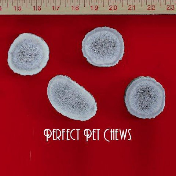 Perfect Pet Chews Elk Antler Canine Cookies - Grade A, All Natural, Organic, and Long Lasting Treats - Made from Naturally Shed Antlers in the USA - Small Treat - 4-Count