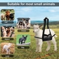 thumbnail image 3 of Eslinga De Báscula Colgante, Eslinga Para Pantorrilla, Malla Transpirable Cómoda Y Versátil Para Corderos, Cabras, Alpacas Bebés, 3 of 7