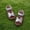 Silver, variant on Zecgelong Girls' Crystal Shoes With Soft Soles For Middle And Older Children Sandals For Girls Size 6.5 Gold