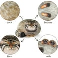 thumbnail image 3 of Cat Plush Body Pillow 45cm/18inch, Pallas Cat Filled Animal, Steppe Cat Cute Plush, 3 of 5