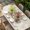 Beige, variant on Easter Gnomes Table Cloths for 5 Foot Rectangle Tables, Spring Floral Colorful Eggs Leaves Beige Patio Waterproof Elastic Fitted Tablecloths, Washable Rectangular Table Cover for Camping