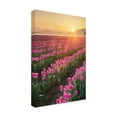 thumbnail image 4 of Trademark Fine Art 'Skagit Valley Tulips II' Canvas Art by Alan Majchrowicz, 4 of 4