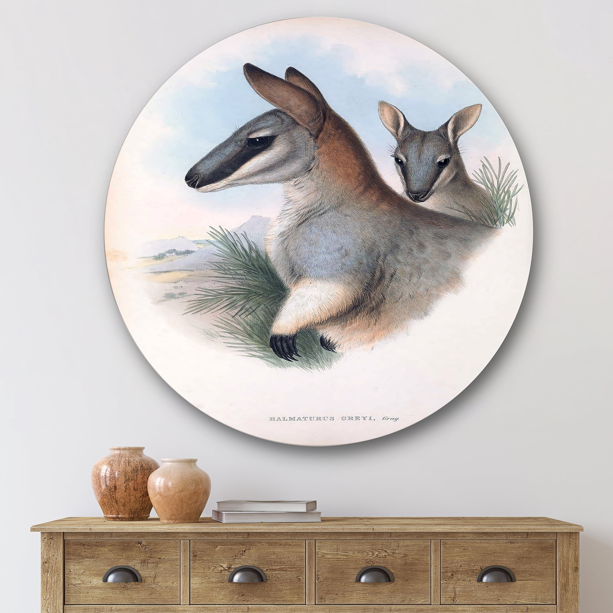 Designart 'Ancient Kangaroo' Farmhouse Circle Metal Wall Art 29x29 - Disc of 29