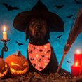 thumbnail image 4 of 2 Ensembles de Costume Pirate Halloween pour Animaux de Compagnie, Costumes de Jeu de Rôle Pirate Style:style1, 4 of 5