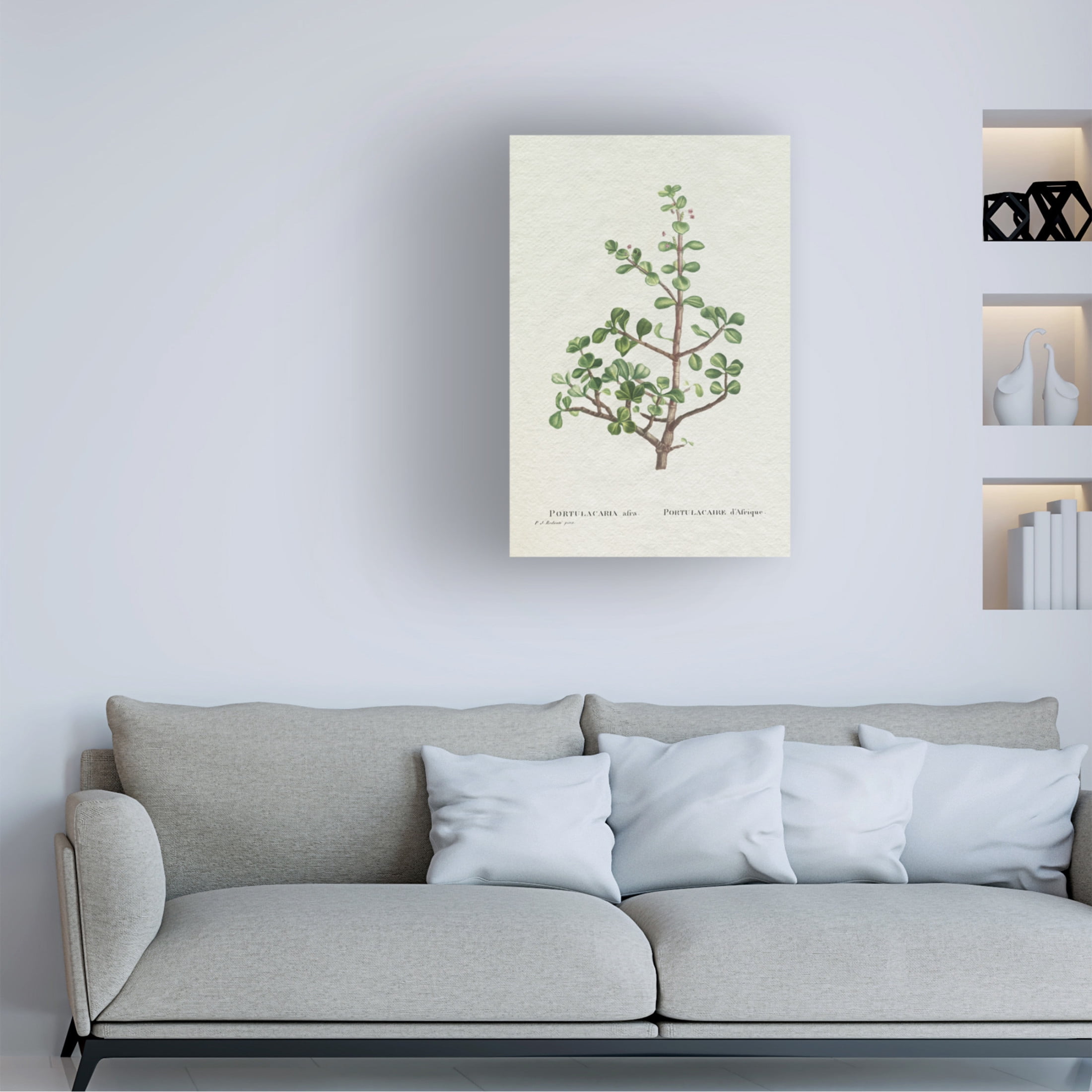 Trademark Fine Art Pierre Redoute  Redoute Succulent IV Canvas Wall Art