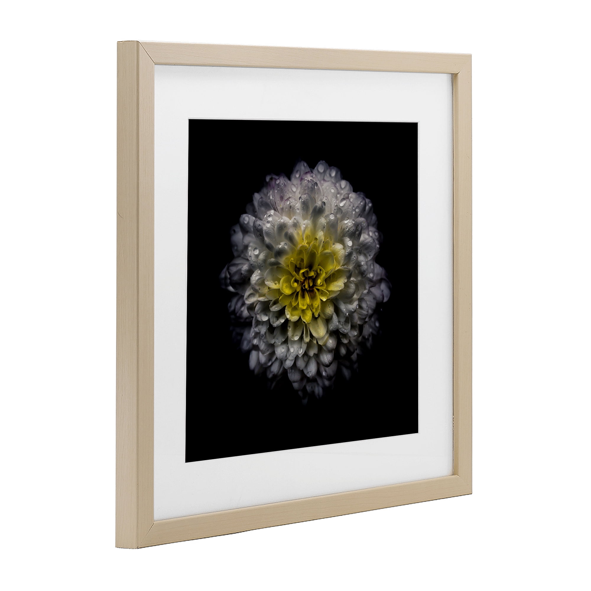 White And Yellow Mum Birch Framed Print Under Glass, design by Brian Carson Photography