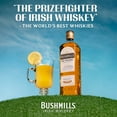 thumbnail image 4 of Bushmills Original Irish Whiskey, 750 ml Glass Bottle, 40% ABV, 4 of 10