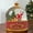 Snow Globe 74, variant on Snowman Christmas Snow Globe Lantern - Musical Snow Globes That Light Up with Cardinal Reindeer Rabbit and Pine Trees, LED Glitter Water Spinning Decoration Gift Music Box
